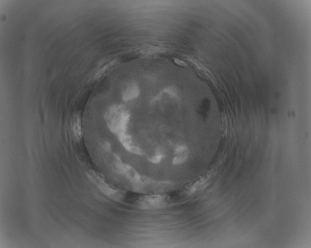 X0000070360479200606231627