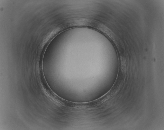 X0000070360482200606231626