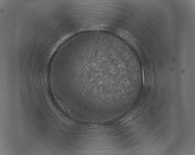 X0000070360483200606231626