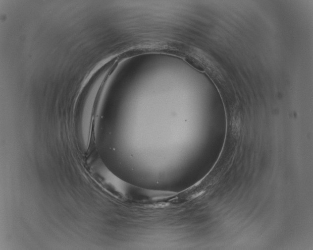 X0000070360484200606231626