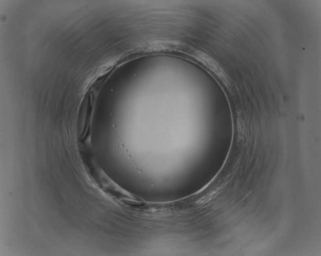 X0000070360485200606231626