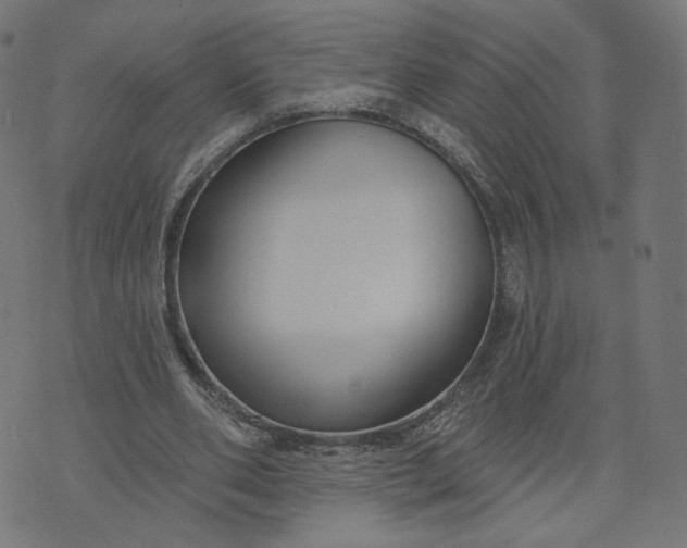 X0000070360486200606231626