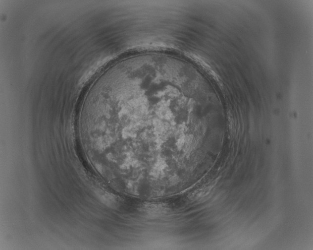 X0000070360487200606231626