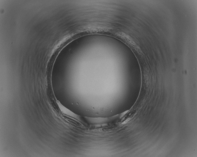 X0000070360488200606231626