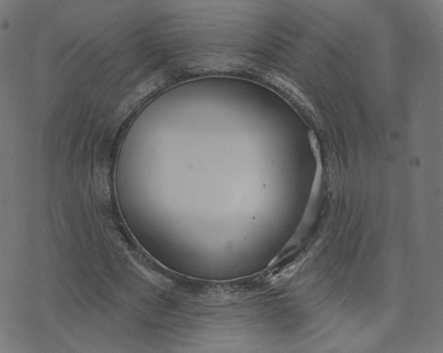 X0000070360489200606231626