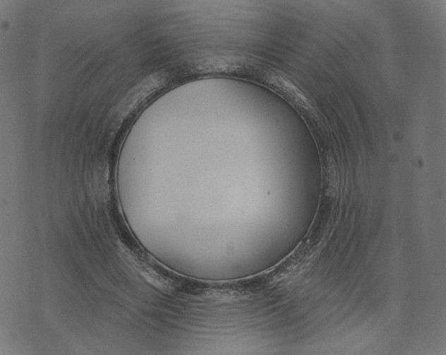 X0000070360490200606231626