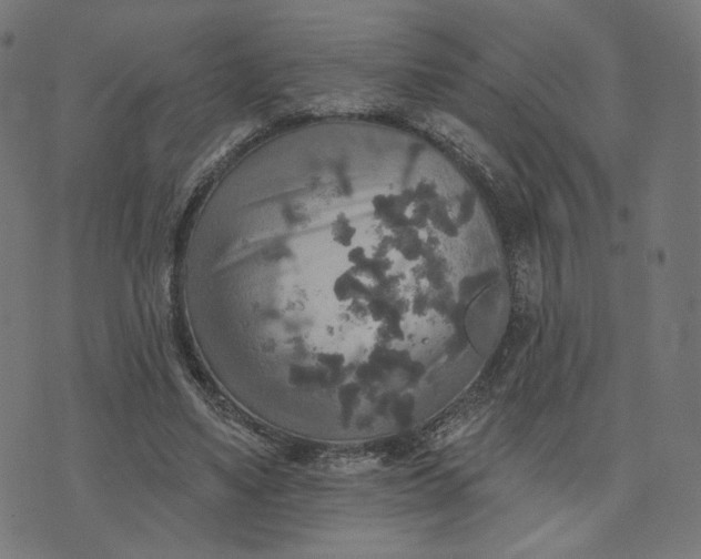 X0000070360491200606231626