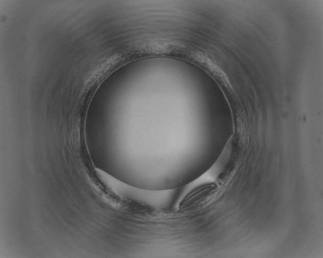 X0000070360493200606231626