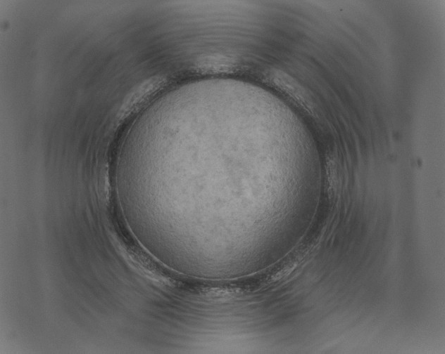 X0000070360494200606231626