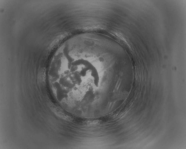 X0000070360495200606231626