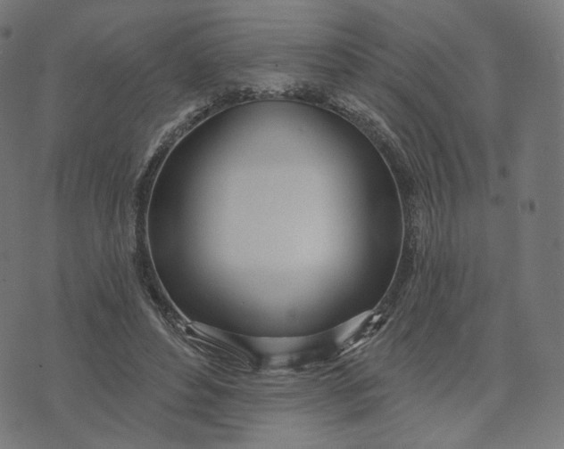 X0000070360496200606231626