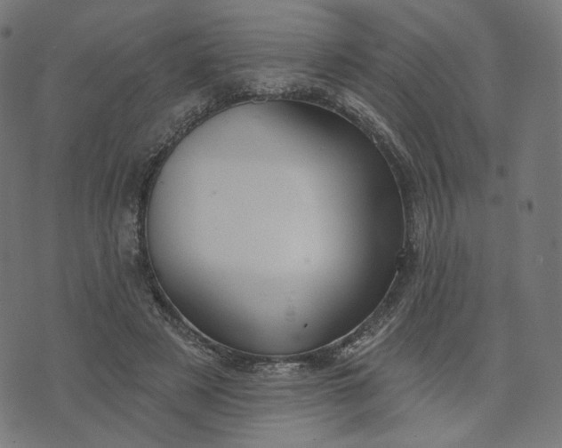 X0000070360497200606231626