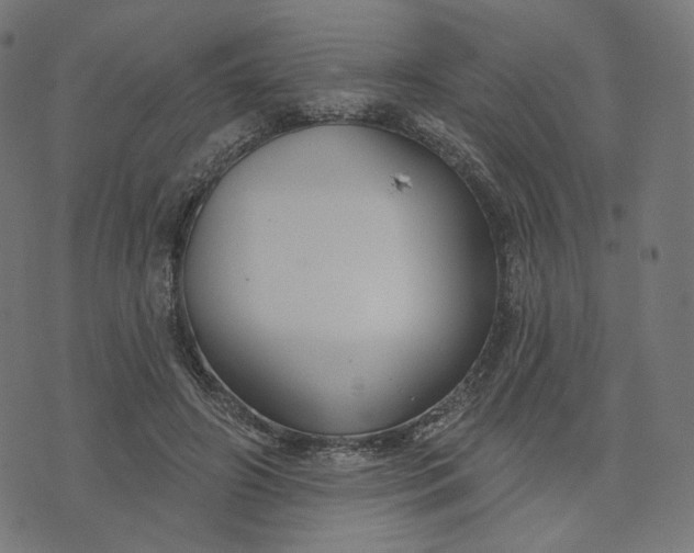 X0000070360498200606231626