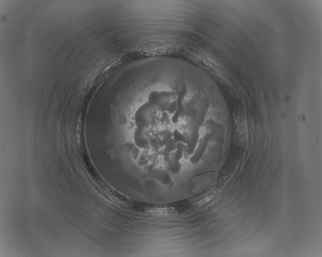 X0000070360499200606231626