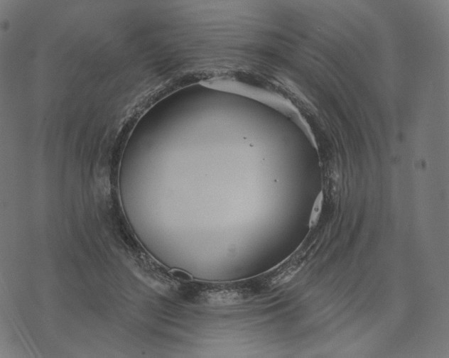 X0000070360500200606231626