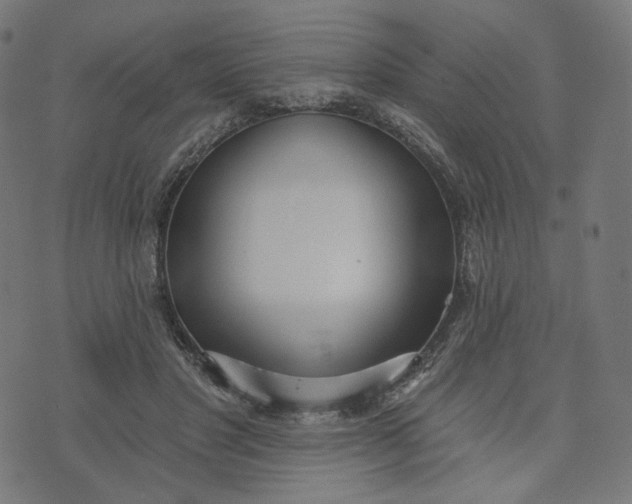 X0000070360501200606231626