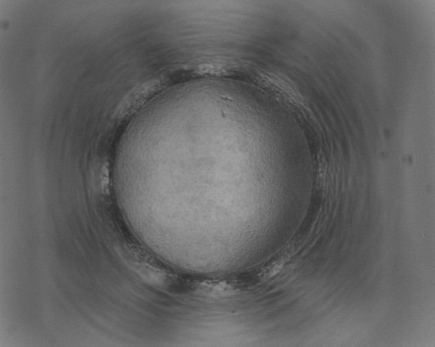 X0000070360502200606231626