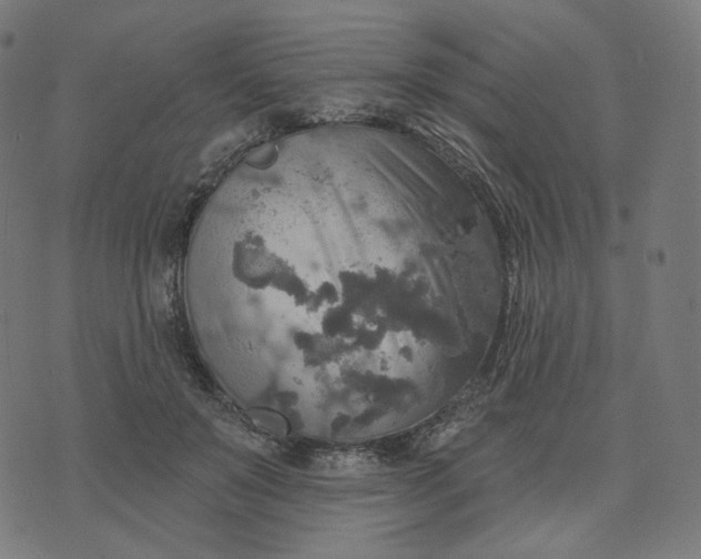 X0000070360503200606231626