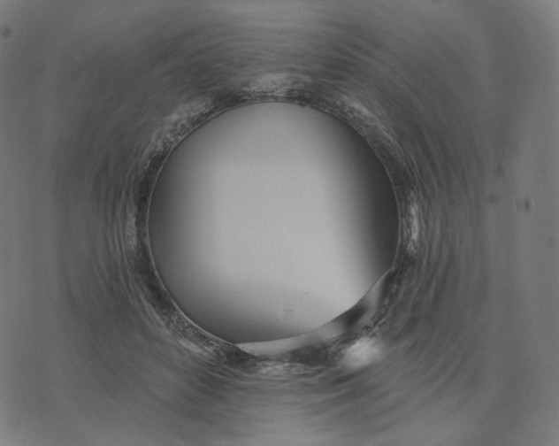 X0000070360504200606231626