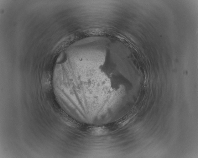 X0000070360507200606231626