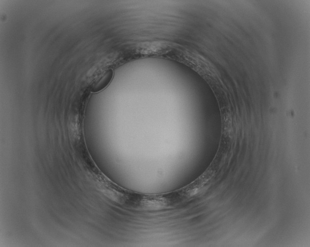 X0000070360510200606231626