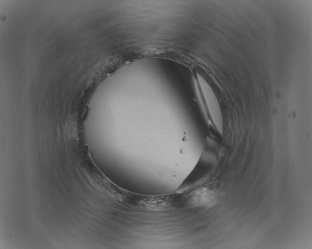 X0000070360512200606231626