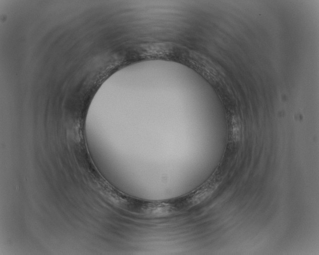 X0000070360514200606231625