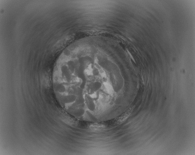 X0000070360515200606231625