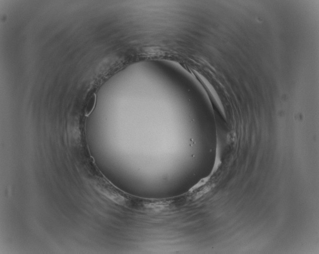 X0000070360516200606231625