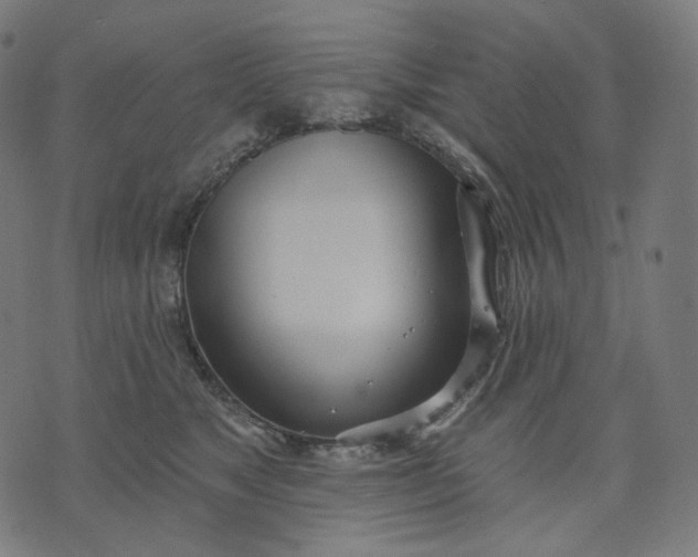 X0000070360517200606231625