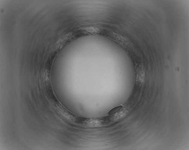 X0000070360518200606231625