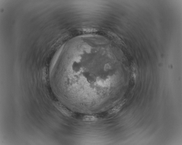 X0000070360519200606231625