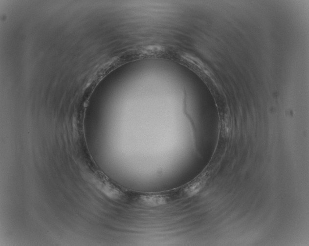 X0000070360520200606231625