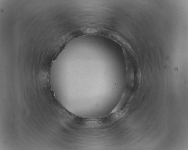 X0000070360521200606231625