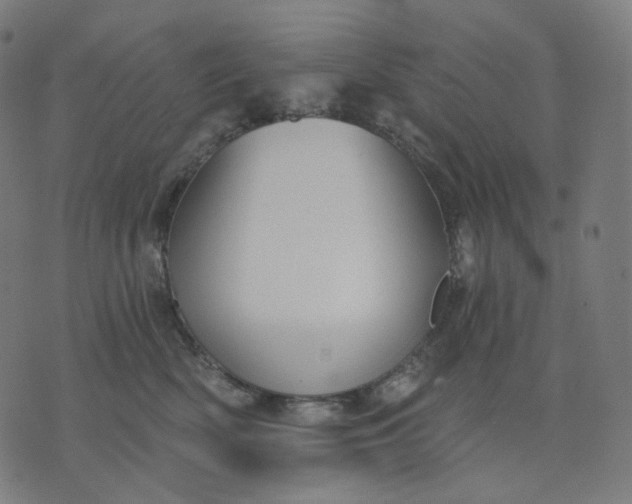 X0000070360522200606231625