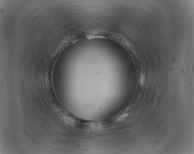 X0000070360524200606231625