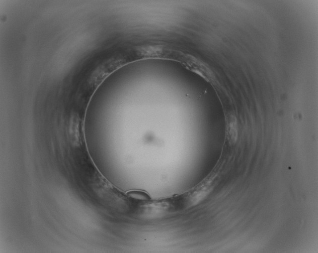 X0000070360525200606231625