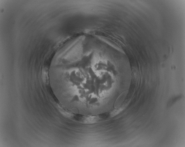 X0000070360527200606231625