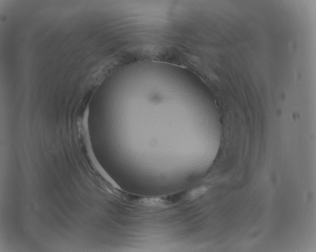 X0000070360528200606231625