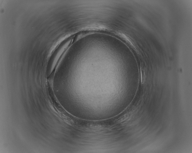 X0000070360531200606231625