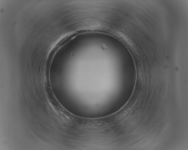 X0000070360532200606231625