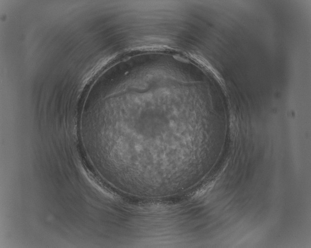 X0000070360533200606231625