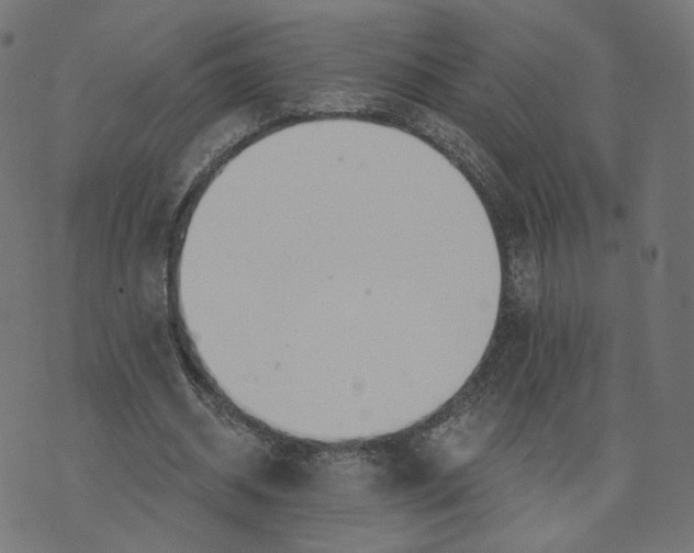 X0000070360534200606231625