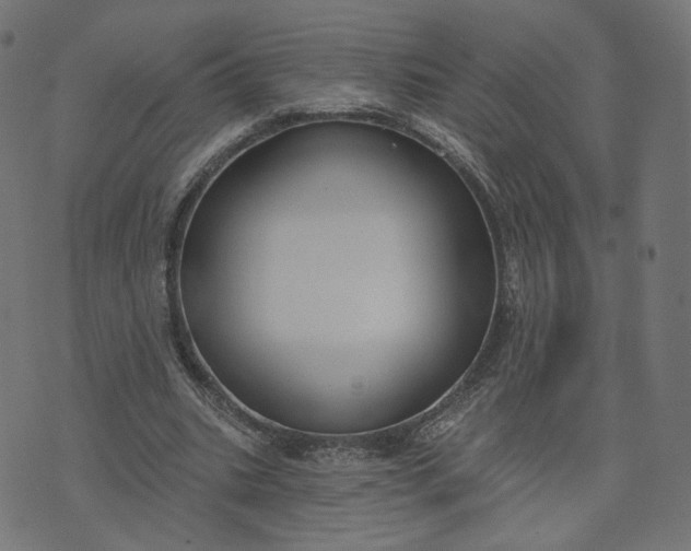 X0000070360535200606231625