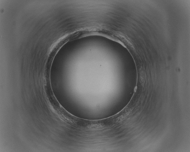 X0000070360536200606231625