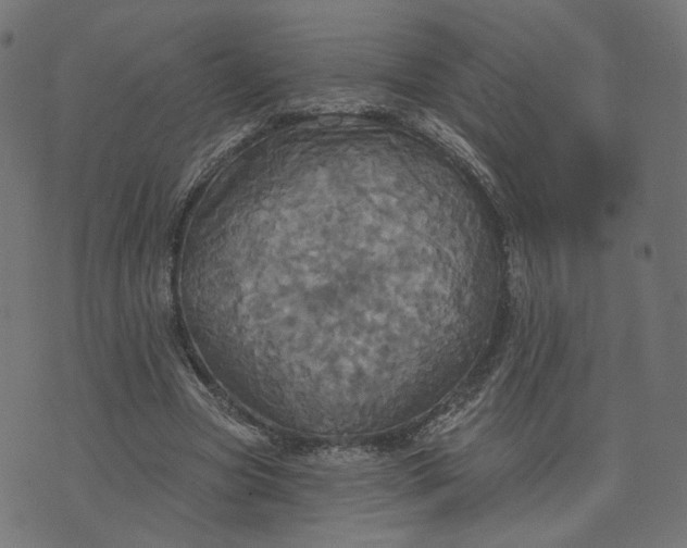 X0000070360537200606231625