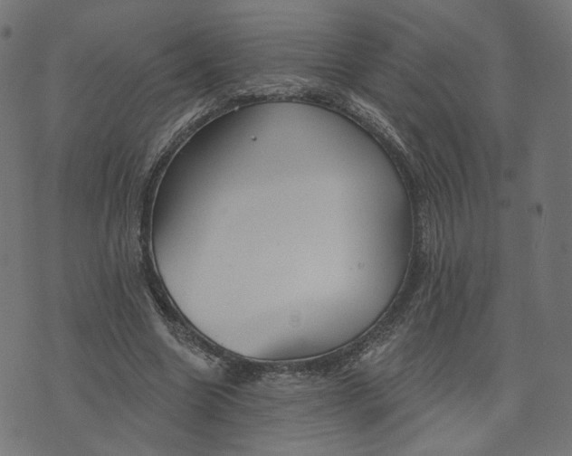 X0000070360538200606231625