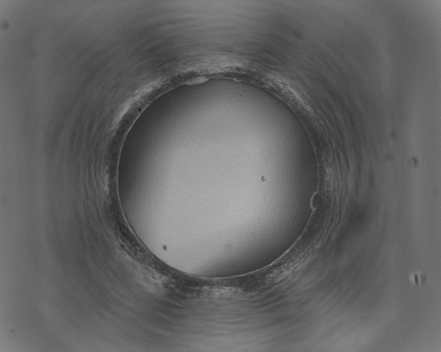 X0000070360539200606231625