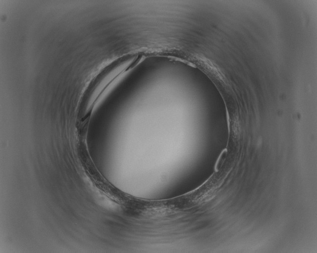 X0000070360540200606231625