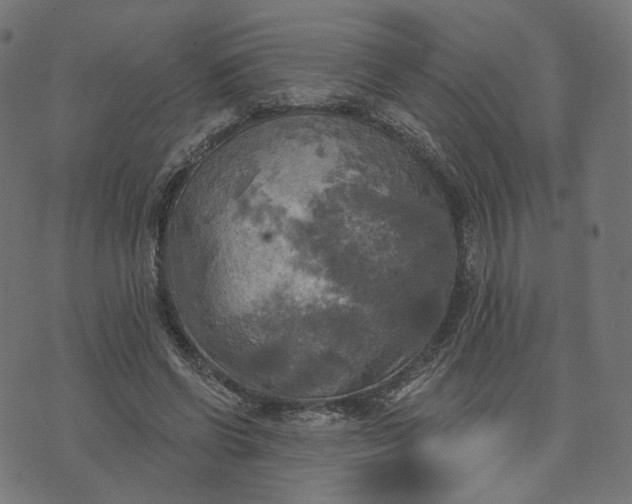 X0000070360542200606231625